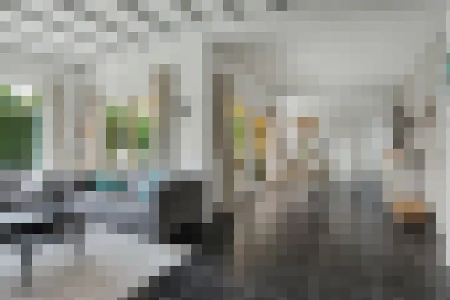 Patrijzenlaan 11 Kamperland thumbnail 8