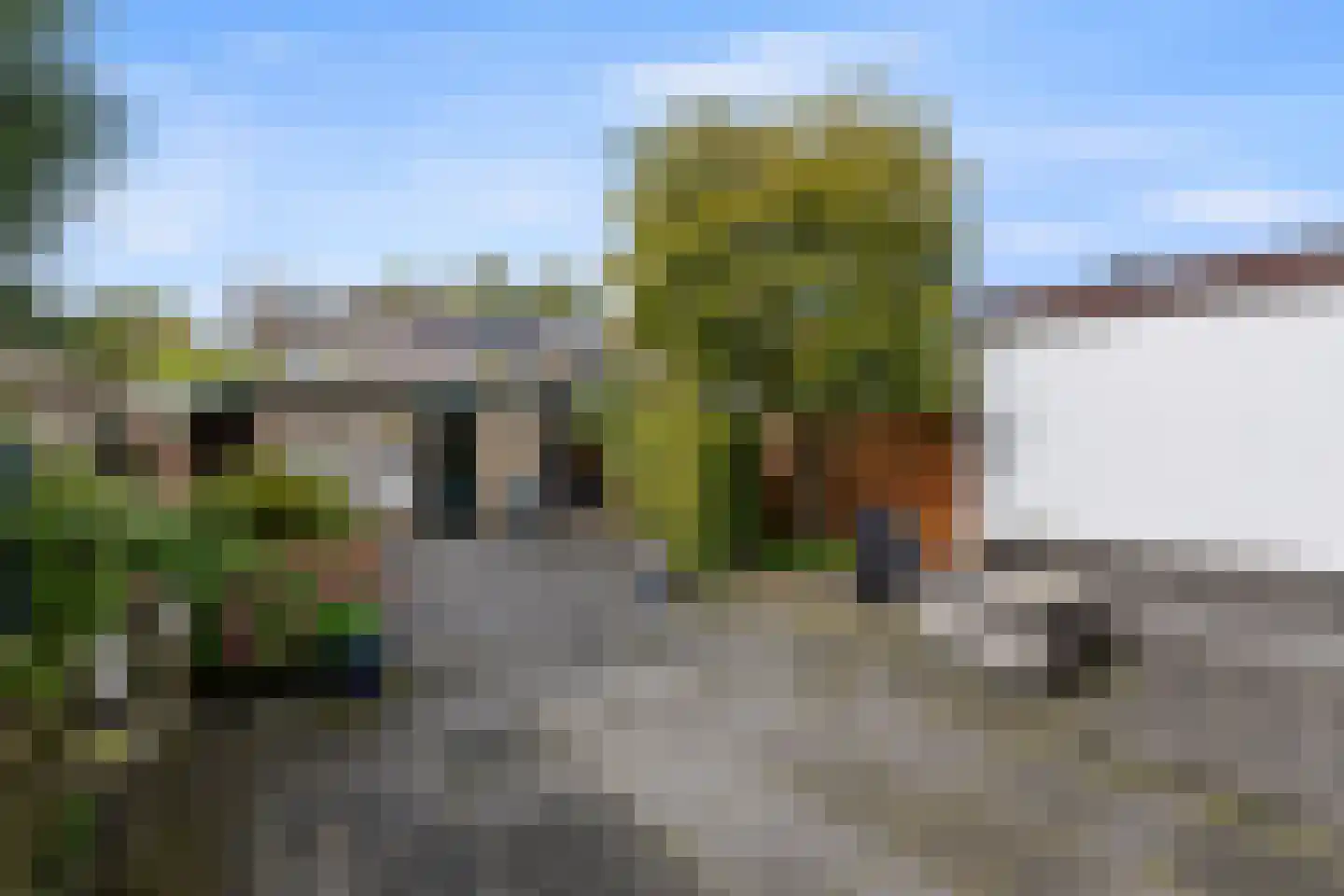 Patrijzenlaan 16 Sint Pancras thumbnail 33