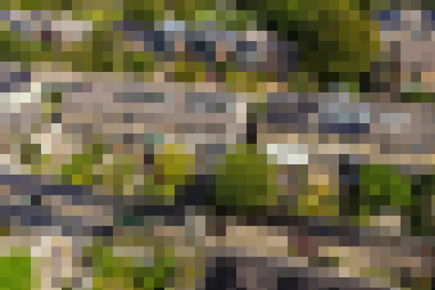 Patrijzenlaan 16 Sint Pancras thumbnail 38
