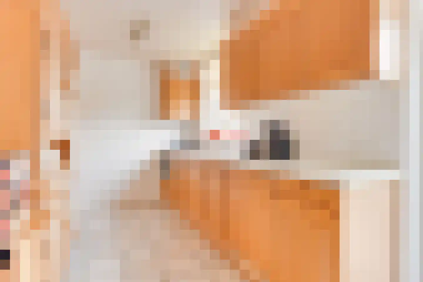 Patrijzenlaan 2 Sint Pancras thumbnail 11