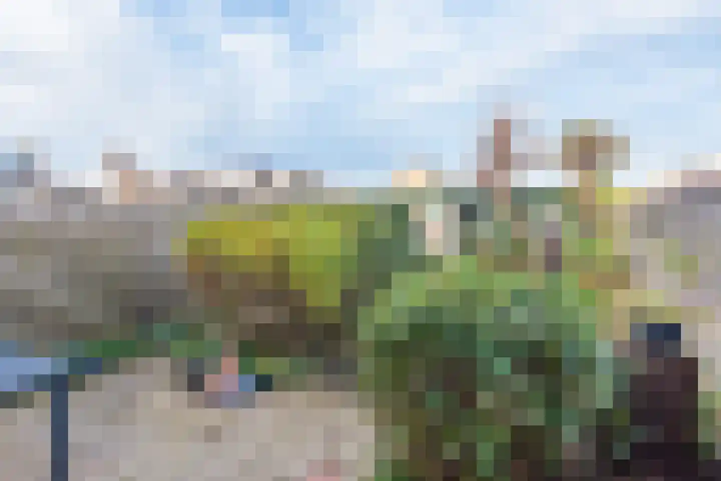 Patrijzenlaan 2 Sint Pancras thumbnail 20