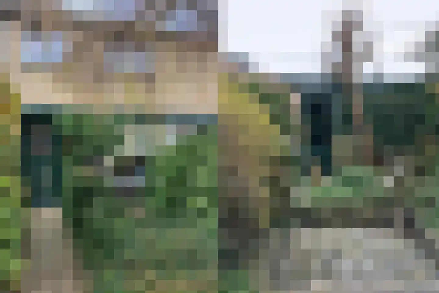 Patrijzenlaan 2 Sint Pancras thumbnail 21