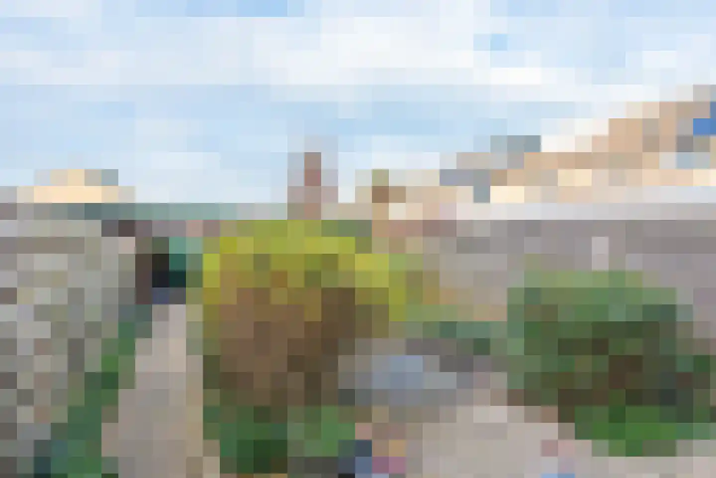 Patrijzenlaan 2 Sint Pancras thumbnail 4