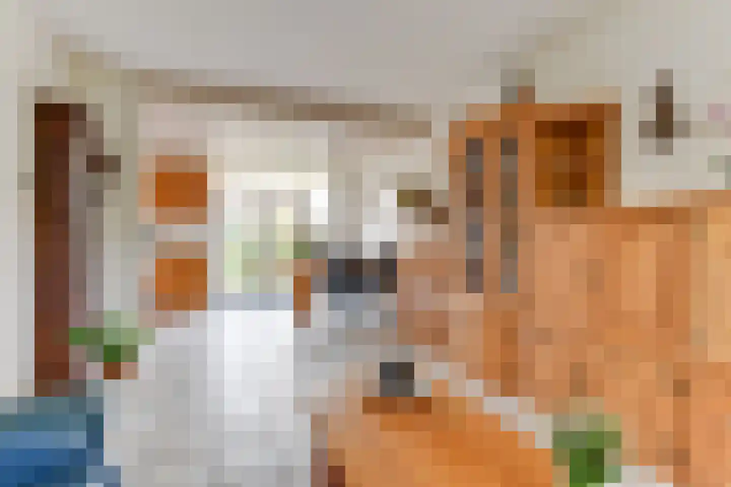 Patrijzenlaan 2 Sint Pancras thumbnail 9