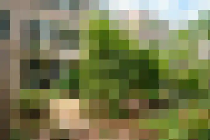 Patrijzenlaan 23 Doorwerth thumbnail 39