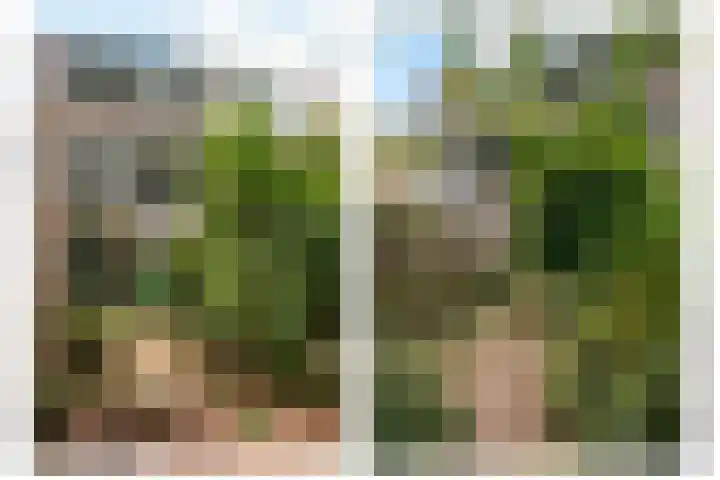 Patrijzenlaan 23 Doorwerth thumbnail 40