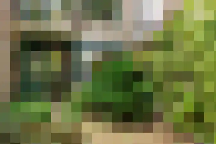 Patrijzenlaan 23 Doorwerth thumbnail 41