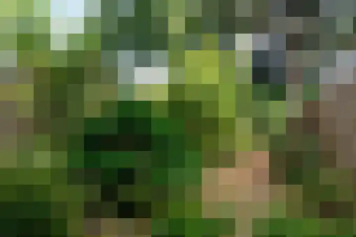 Patrijzenlaan 23 Doorwerth thumbnail 42