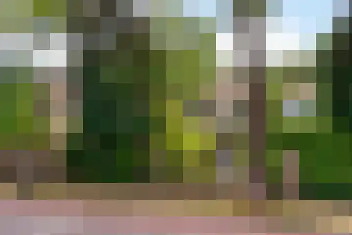 Patrijzenlaan 23 Doorwerth thumbnail 44