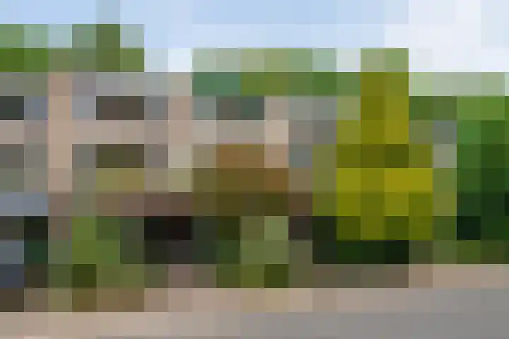 Patrijzenlaan 23 Doorwerth thumbnail 46