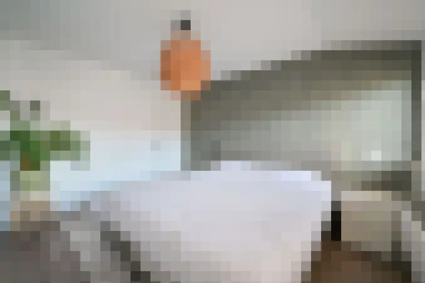 Patrijzenlaan 40 Vinkeveen thumbnail 14