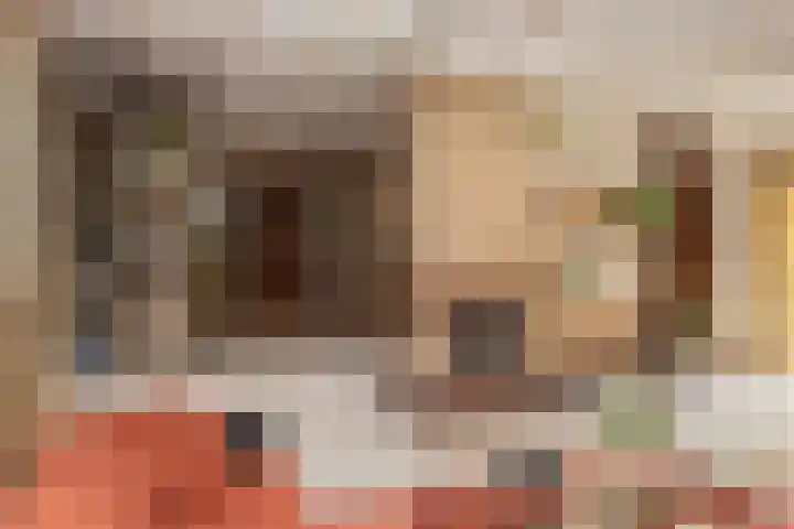 Patrijzenlaan 5 Wezep thumbnail 17