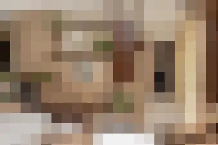 Patrijzenlaan 5 Wezep thumbnail 21