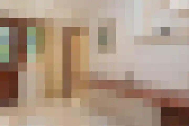 Patrijzenlaan 5 Wezep thumbnail 29