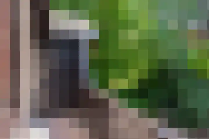 Patrijzenlaan 5 Wezep thumbnail 51
