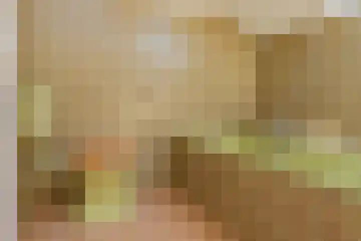 Patrijzenlaan 5 Wezep thumbnail 60