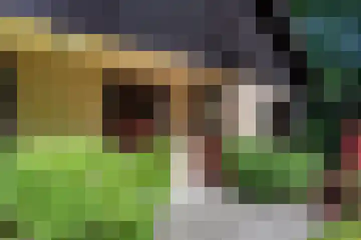 Patrijzenlaan 5 Wezep thumbnail 65