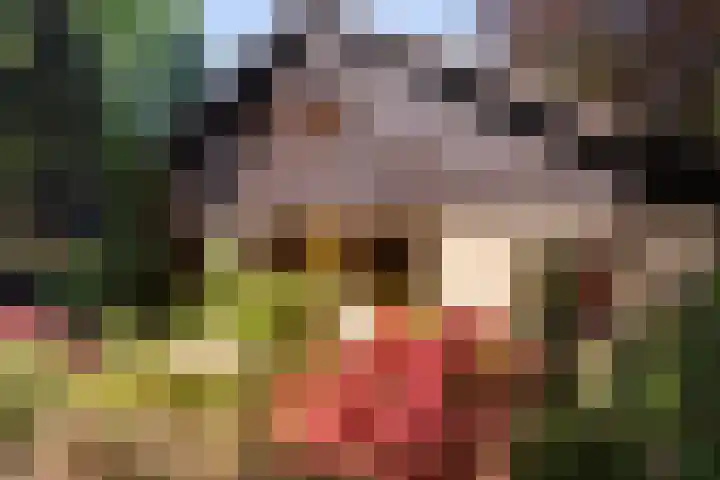 Patrijzenlaan 5 Wezep thumbnail 66