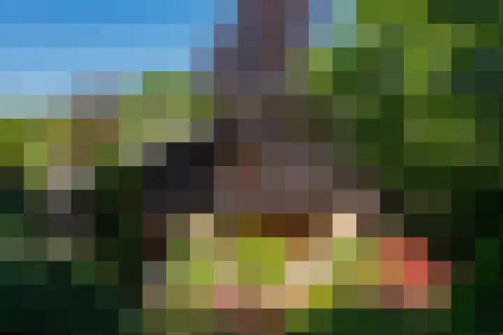 Patrijzenlaan 5 Wezep thumbnail 67