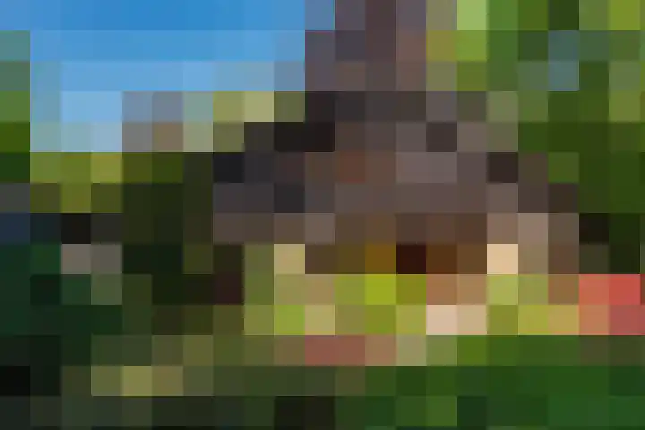Patrijzenlaan 5 Wezep thumbnail 68