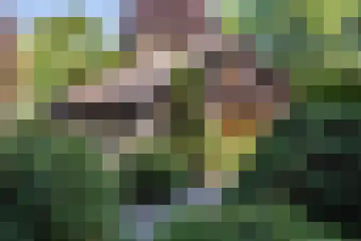 Patrijzenlaan 5 Wezep thumbnail 69