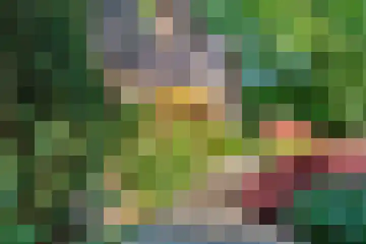 Patrijzenlaan 5 Wezep thumbnail 70