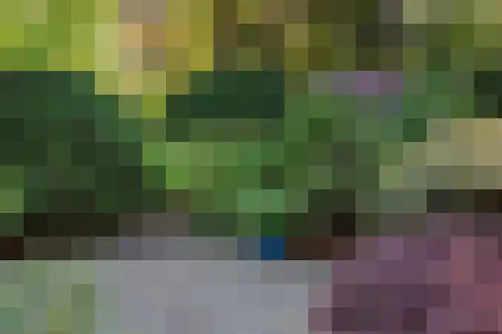 Patrijzenlaan 5 Wezep thumbnail 71