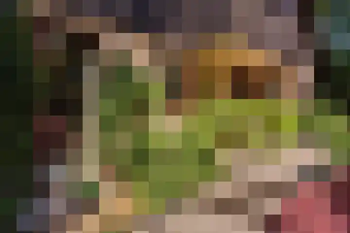 Patrijzenlaan 5 Wezep thumbnail 72