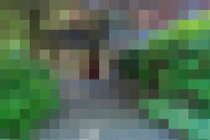 Patrijzenlaan 5 Wezep thumbnail 73