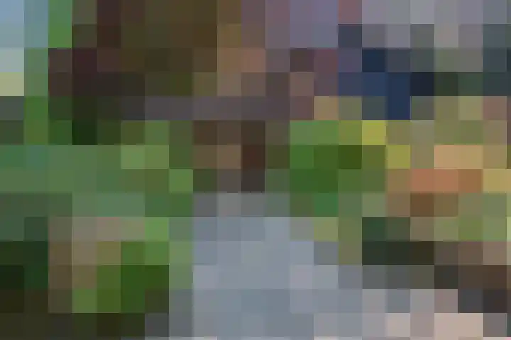 Patrijzenlaan 5 Wezep thumbnail 74