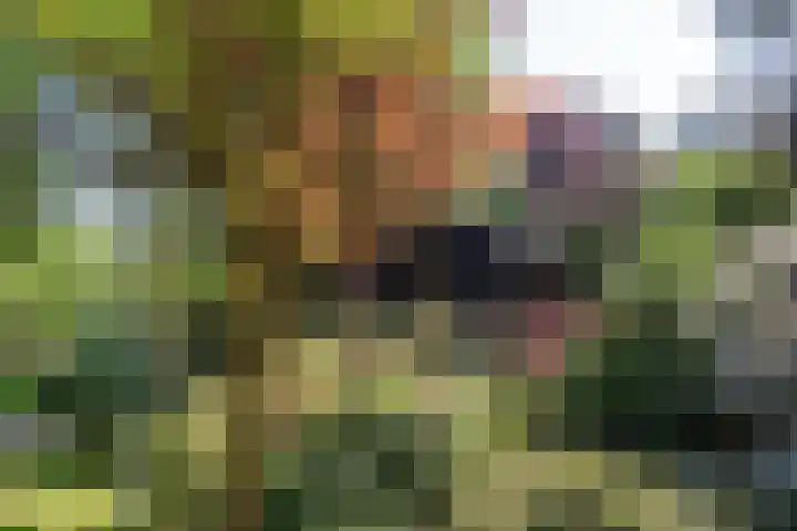 Patrijzenlaan 5 Wezep thumbnail 75