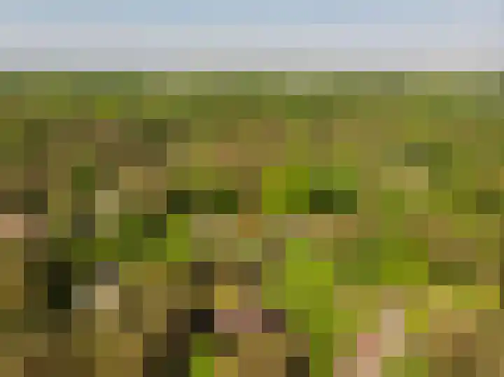Patrijzenlaan 5 Wezep thumbnail 77