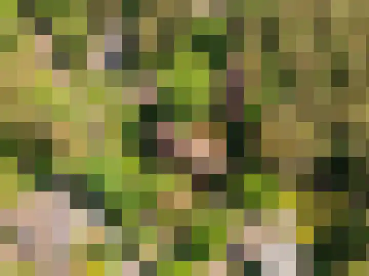 Patrijzenlaan 5 Wezep thumbnail 79