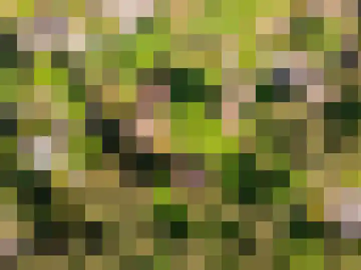 Patrijzenlaan 5 Wezep thumbnail 80