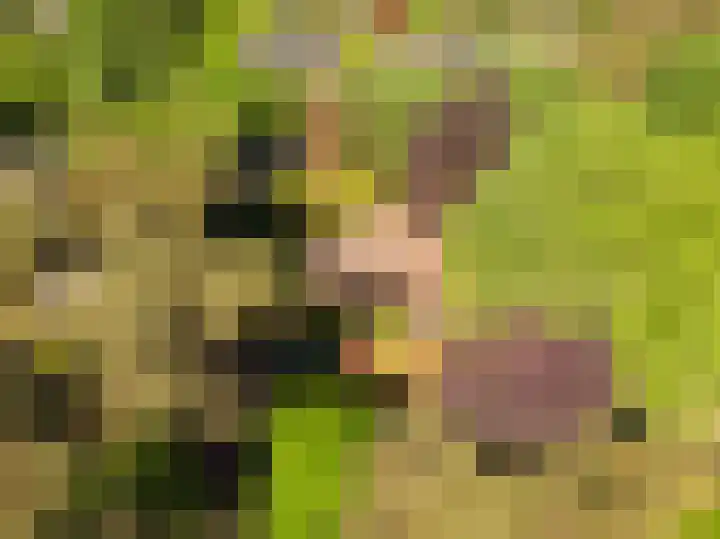 Patrijzenlaan 5 Wezep thumbnail 81