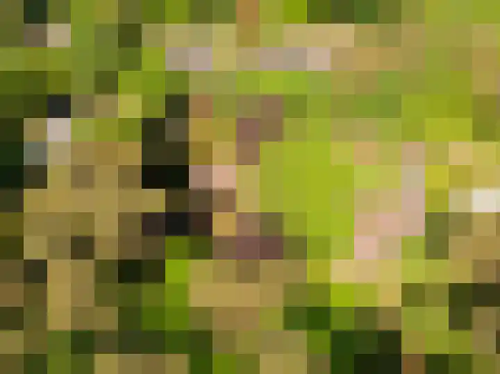 Patrijzenlaan 5 Wezep thumbnail 82