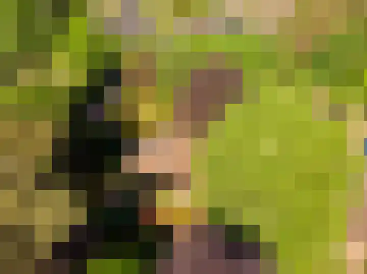 Patrijzenlaan 5 Wezep thumbnail 83