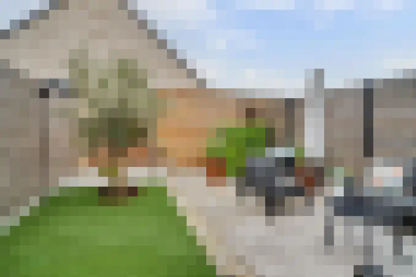 Patrijzenlaan 52 Baarle-Nassau thumbnail 46