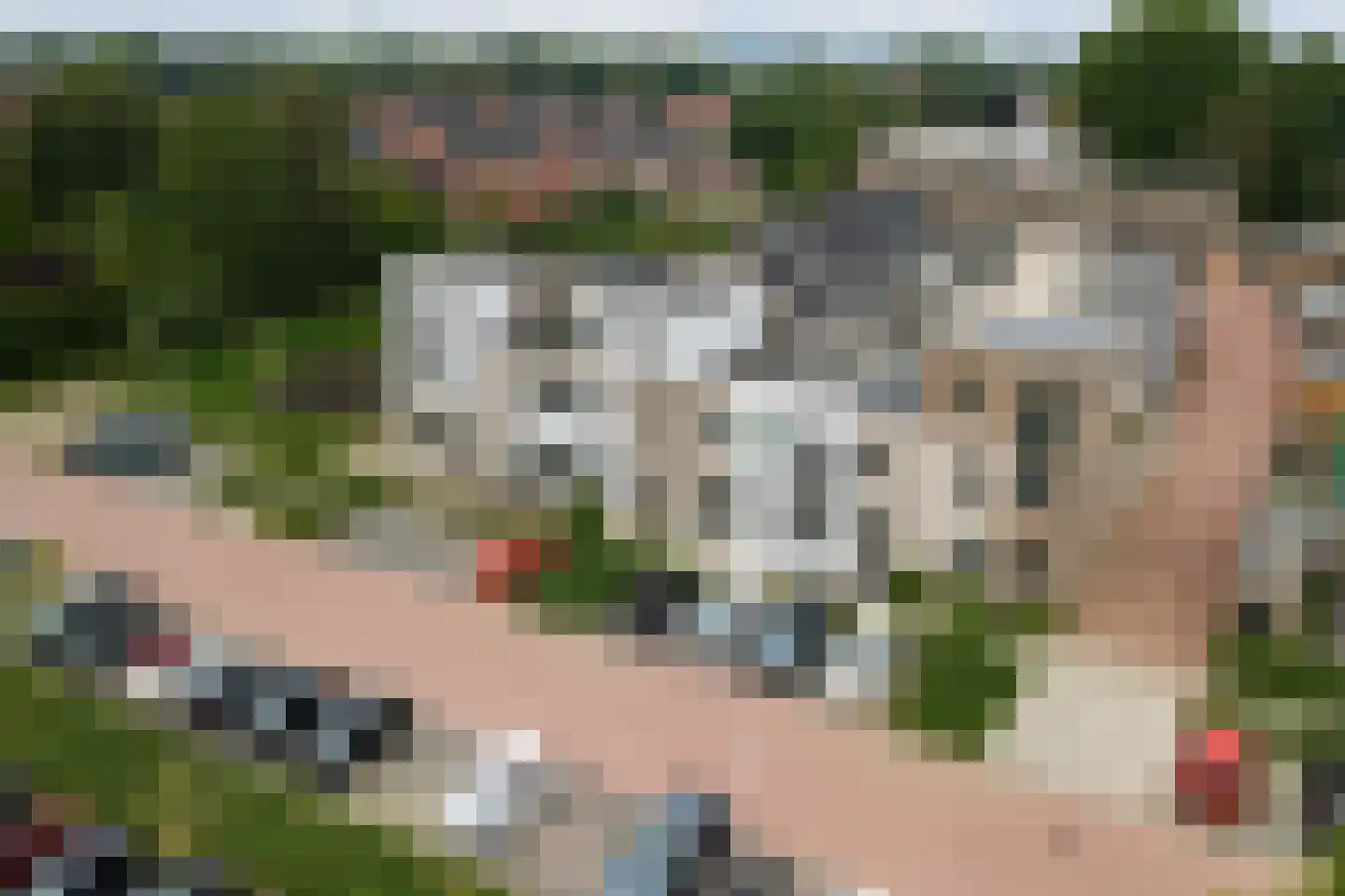 Patrijzenlaan 52 Baarle-Nassau thumbnail 59