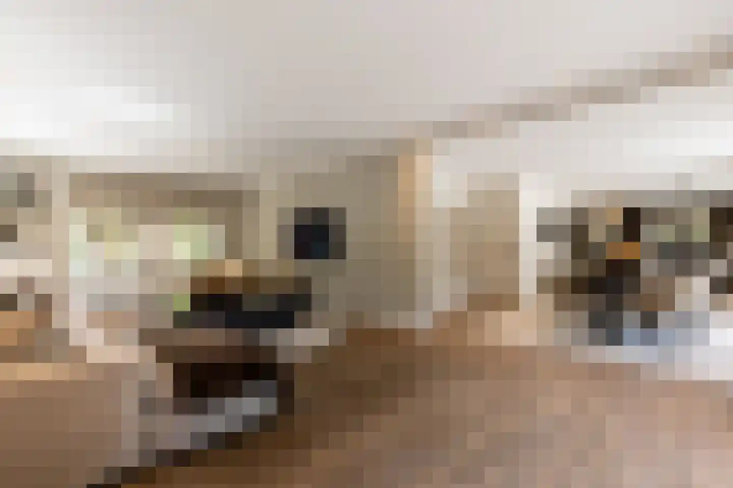 Patrijzenlaan 75 Oostvoorne thumbnail 16