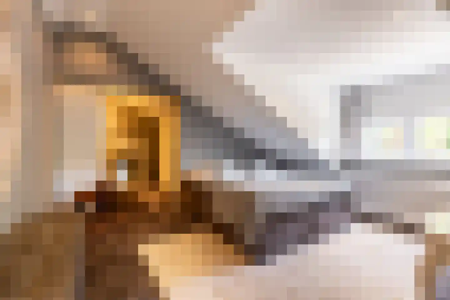 Patrijzenlaan 75 Oostvoorne thumbnail 42