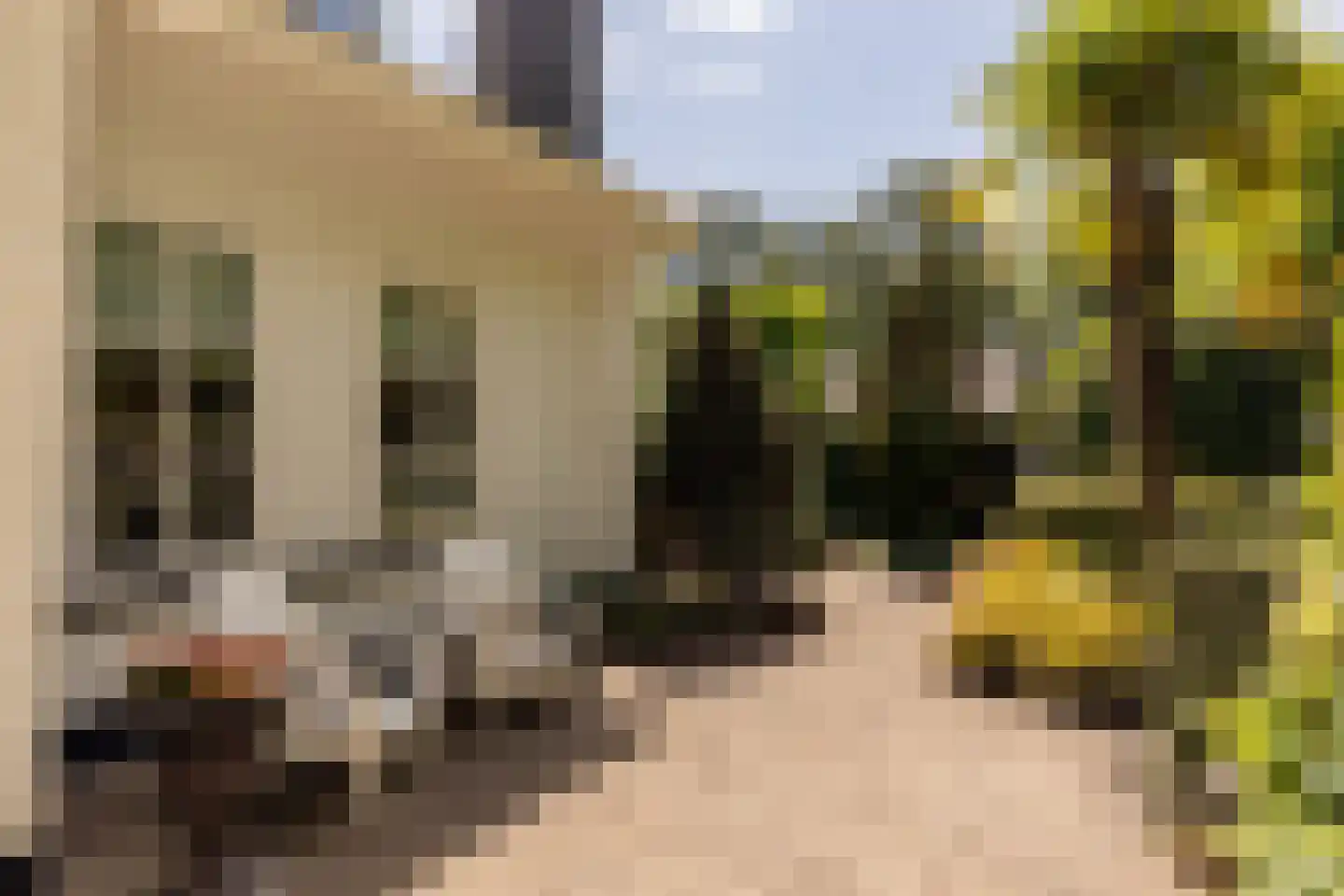 Patrijzenlaan 75 Oostvoorne thumbnail 46
