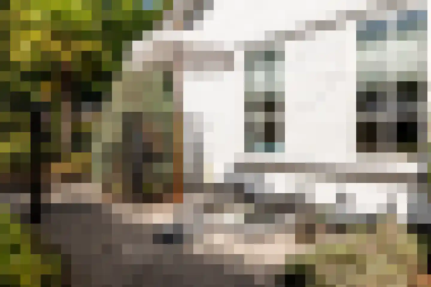 Patrijzenlaan 75 Oostvoorne thumbnail 47