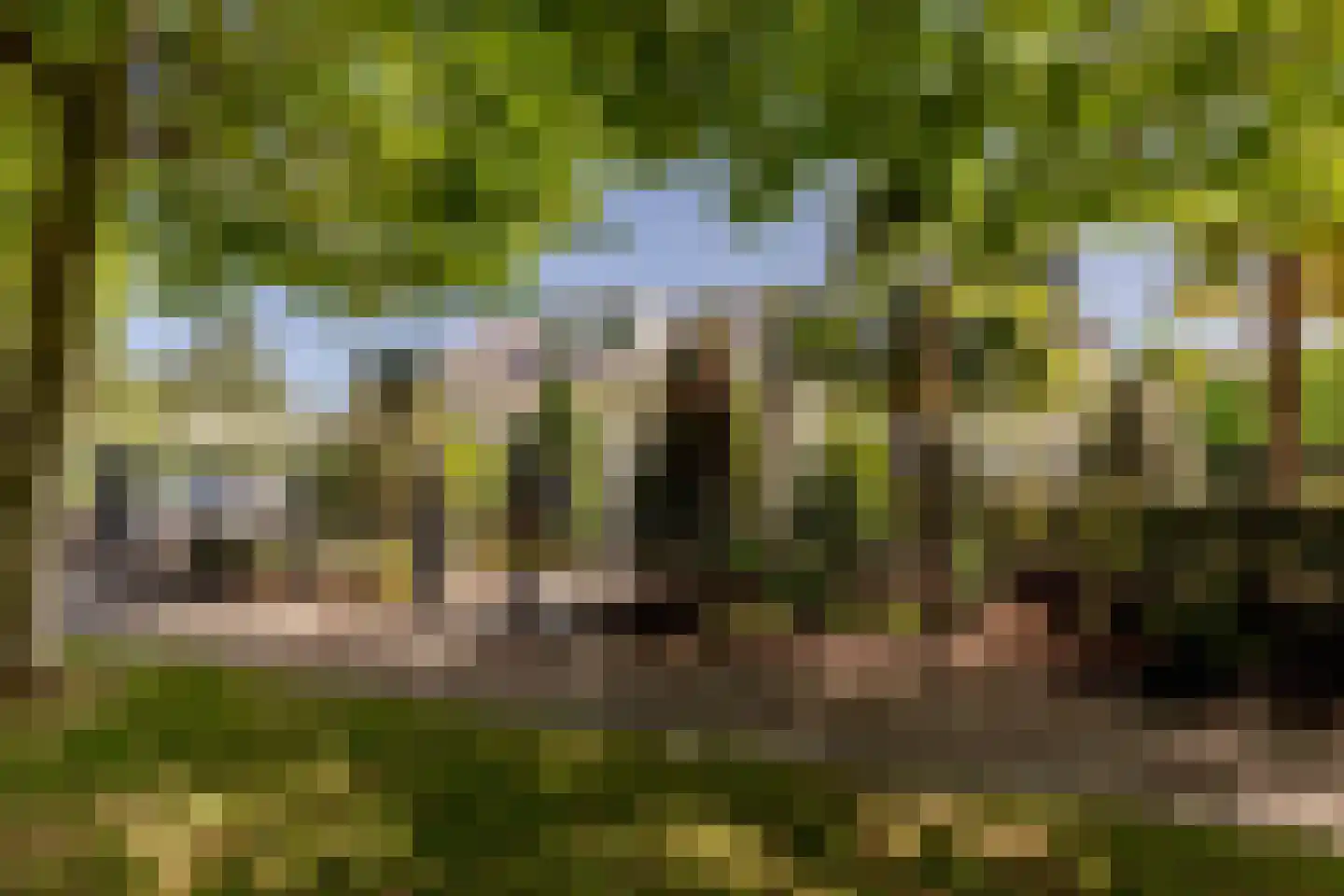 Patrijzenlaan 75 Oostvoorne thumbnail 5