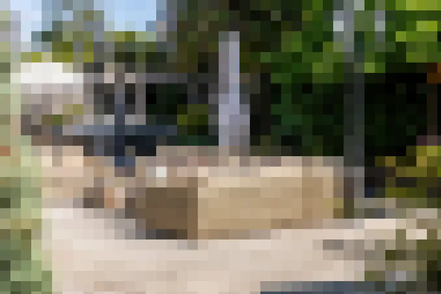 Patrijzenlaan 75 Oostvoorne thumbnail 50
