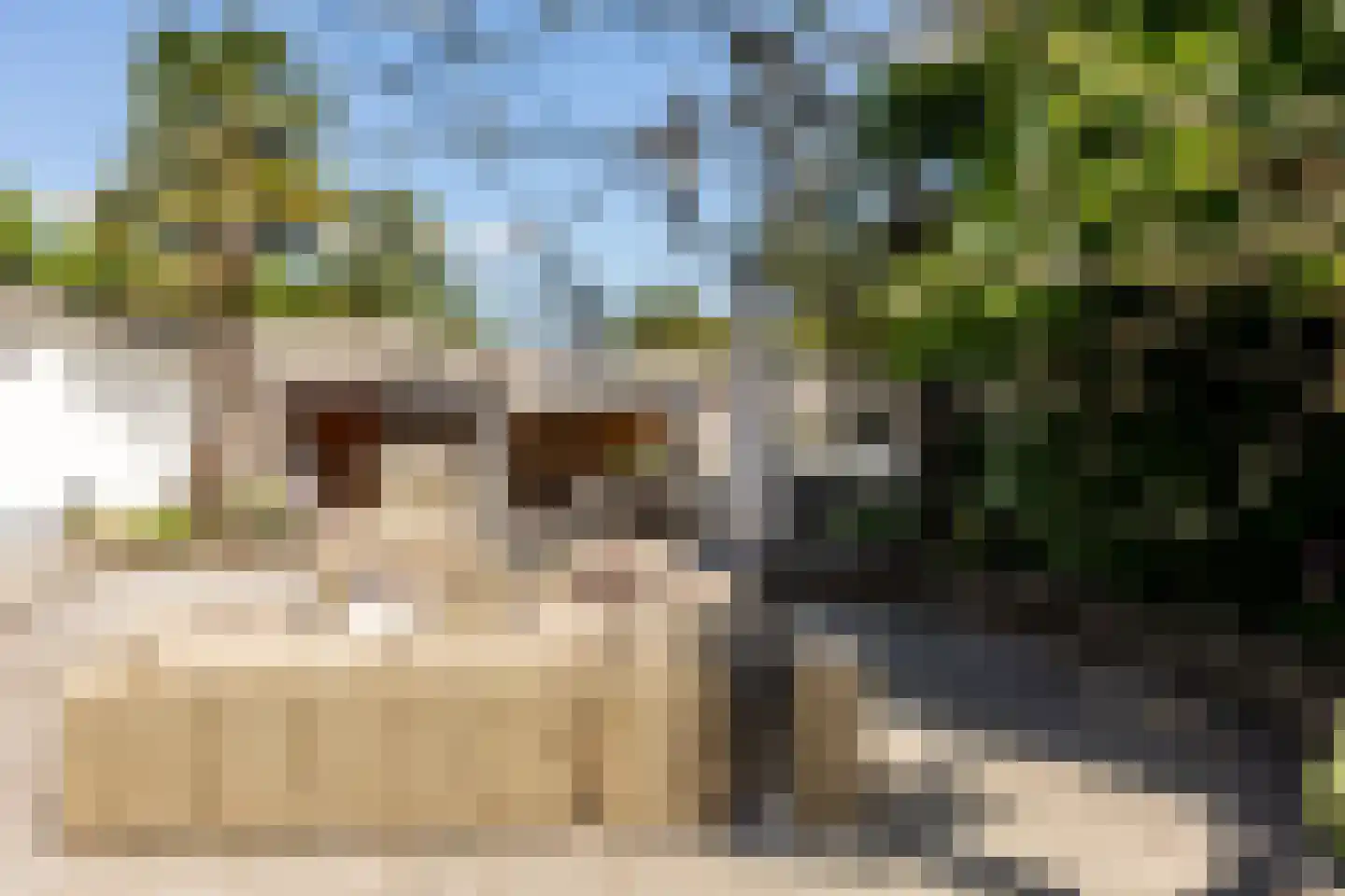 Patrijzenlaan 75 Oostvoorne thumbnail 52