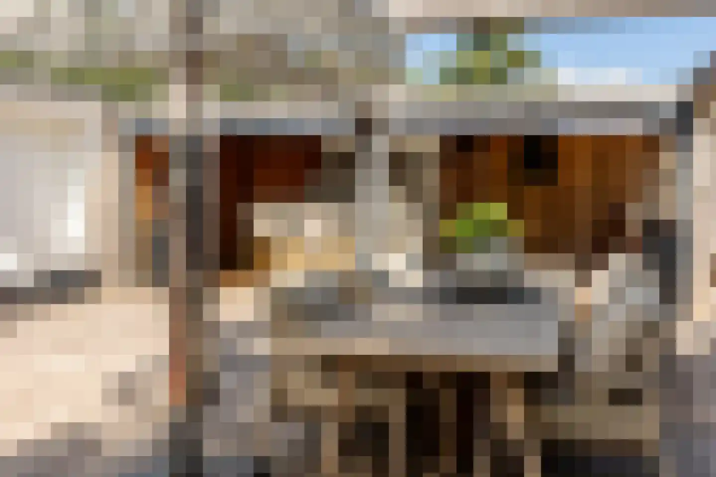 Patrijzenlaan 75 Oostvoorne thumbnail 55