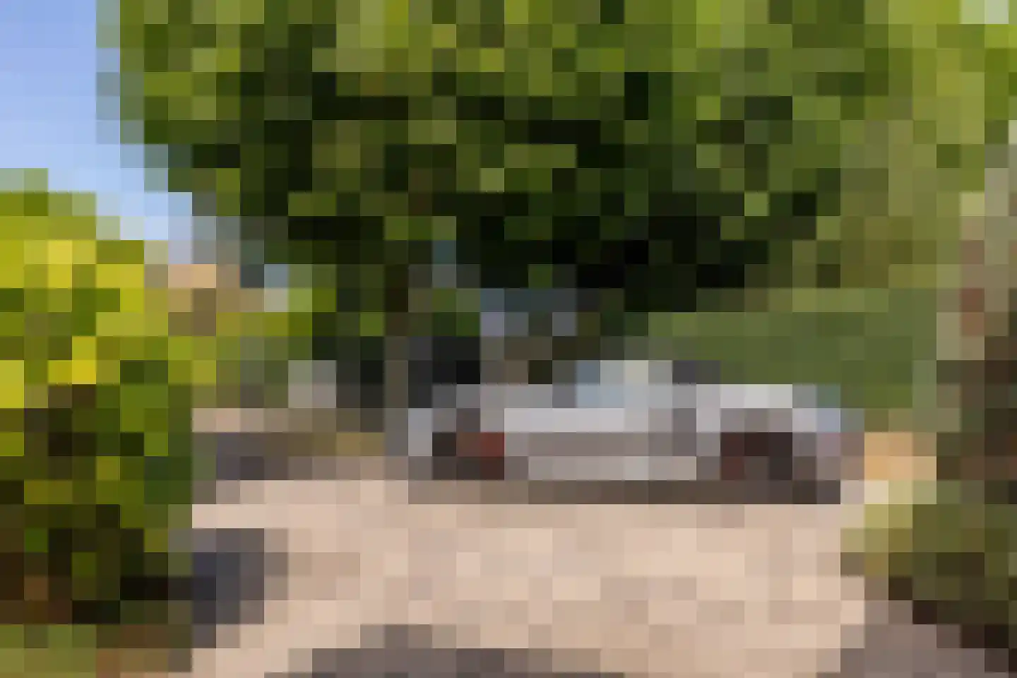 Patrijzenlaan 75 Oostvoorne thumbnail 59