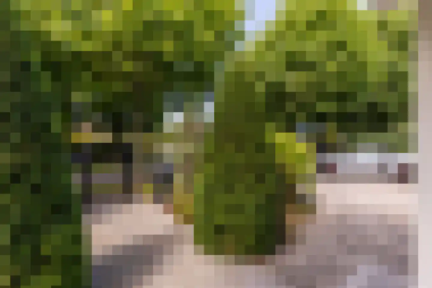 Patrijzenlaan 75 Oostvoorne thumbnail 6