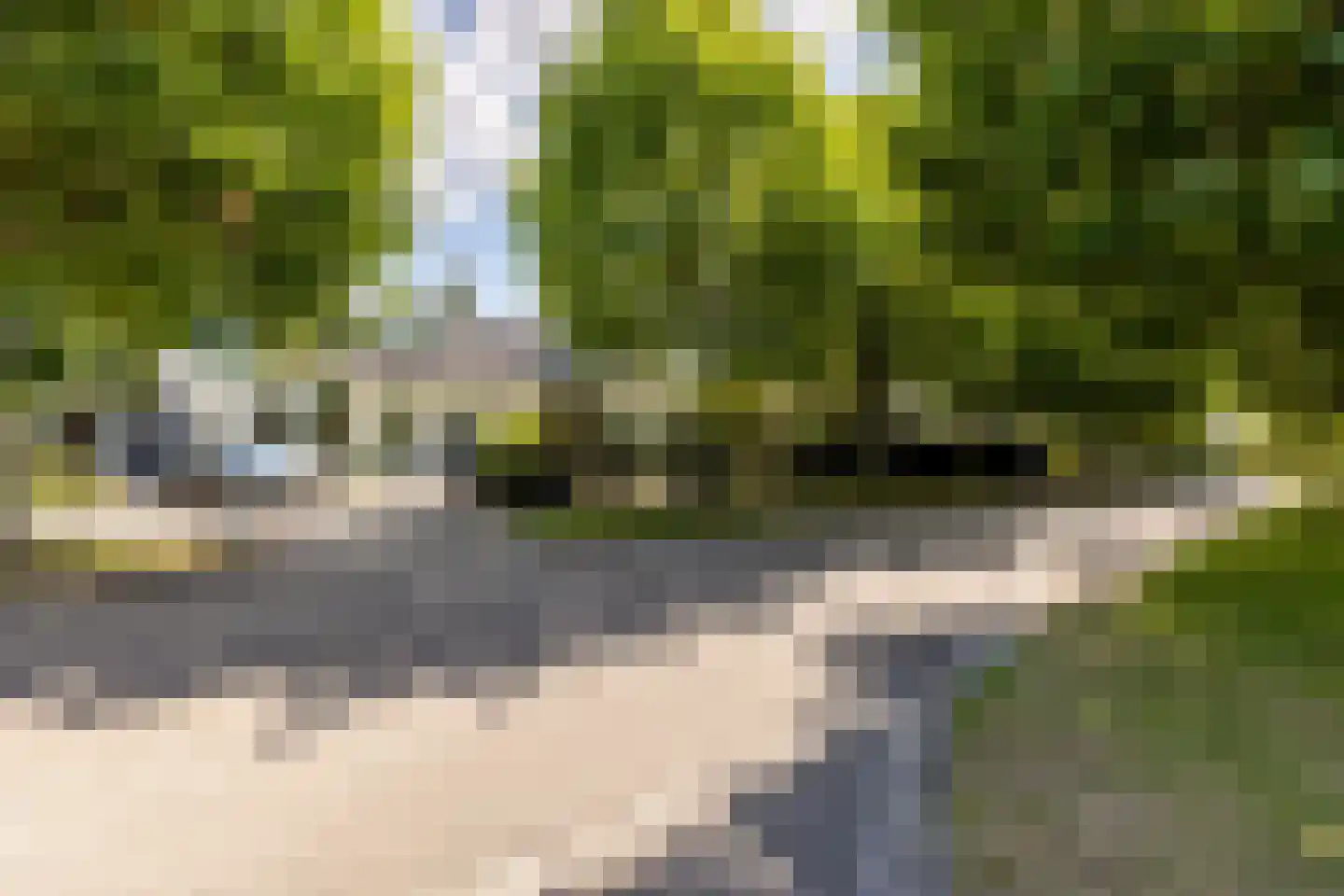 Patrijzenlaan 75 Oostvoorne thumbnail 61